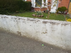 What to do with this wall?!
