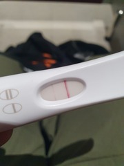 Pregnancy