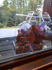 Center Parcs Whinfell advice and tips