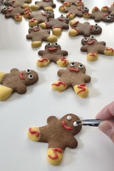 I have the cutter, now I need a biscuit recipe!