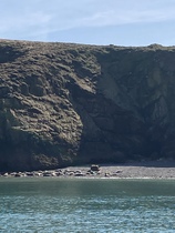 Cancer support thread #82