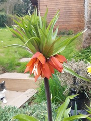 Show Us Your Pictures 6