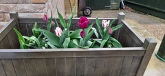 Show Us Your Pictures 6