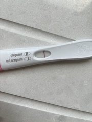 Line eyes 7/8 dpo