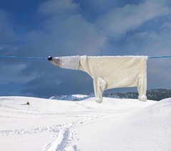 My washing line annoying neighbour