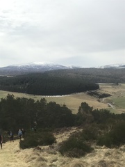 Running thread 18 - roll on spring!