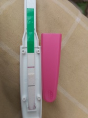 Due December (thread 2) 👯