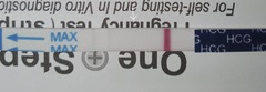 2 dpo - TWW, anyone with me?
