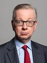 Gove for PM