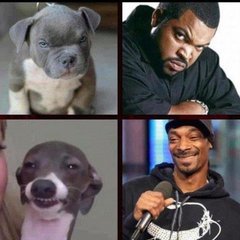 Famous people doppelgängers … I’ll start!
