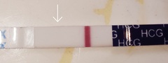 2 dpo - TWW, anyone with me?
