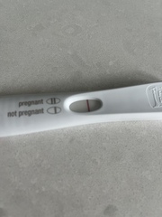 Line eyes 7/8 dpo