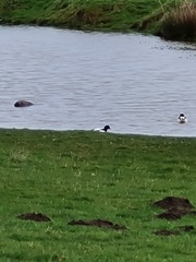 Come on in, chat thread