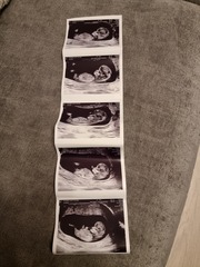 Gender guesses - nub theory!