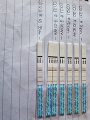 Starting Clomid tomorrow!