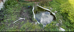 Pond help needed for complete beginner