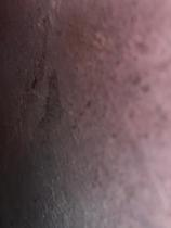 Mould, damp and uninvited plants