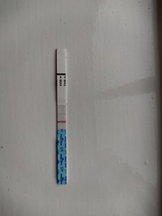 Thoughts please, image in thread