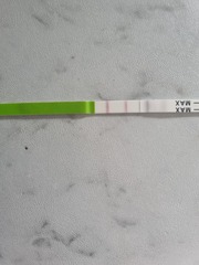 Advice on ovulation strip