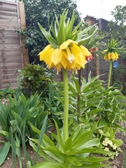 Show Us Your Pictures 6
