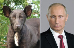 Famous people doppelgängers … I’ll start!