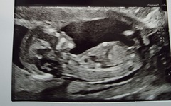 Is Nub Theory Accurate? Was it right for you?