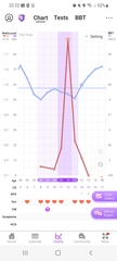 BBT Chart