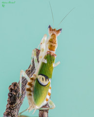 Knit, Crochet and Natter 8: Keep Calm and Carry Yarn!