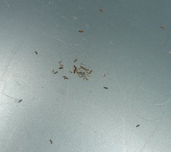 What are these?