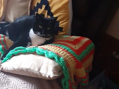 Come on in, chat thread