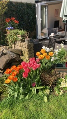 Show Us Your Pictures 6