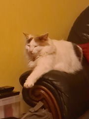 Today is our Cativersary!