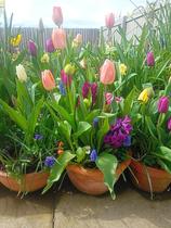 Come on in, chat thread