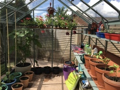 8x14 greenhouse - anyone have one? (Or 8x18!)