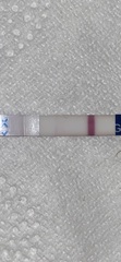 Trying to conceive over 40 part 2