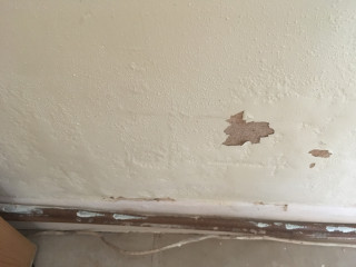 PigletJohn are you there?! Damp? on internal wall of bungalow