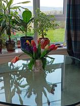 Come on in, chat thread