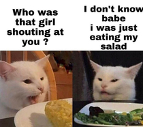 Good cat memes