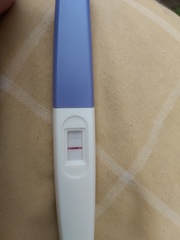 Due December (thread 2) 👯