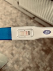 Due December (thread 2) 👯