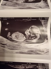 Gender guesses - nub theory!