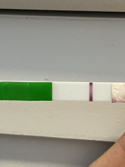 Can someone look at my pregnancy test