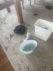 Dog poop and roomba (not lighthearted!)