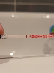 8dpo Why Oh Why Do I Test?