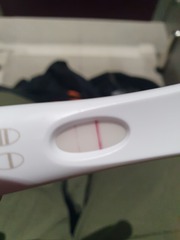 Pregnancy
