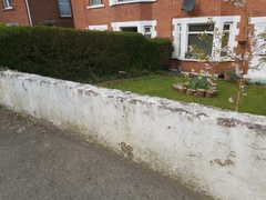 What to do with this wall?!