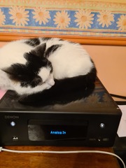 Today is our Cativersary!