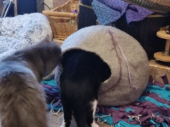 A cat cave