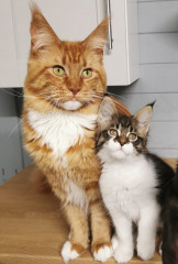 Cancer support thread #82