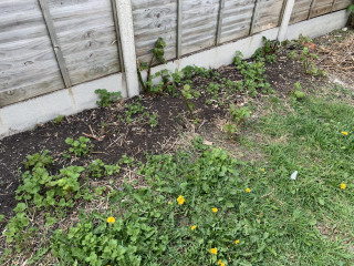 Help with 'garden' of brambles and nettles.